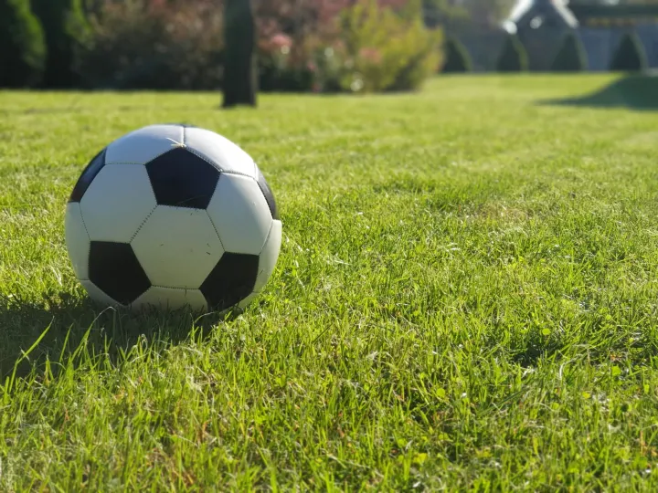A soccer ball sitting on top of a lush green field