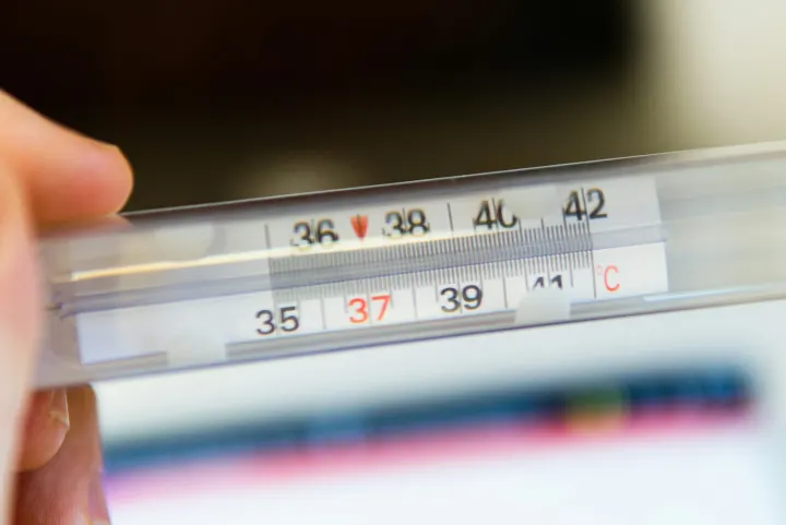 White thermometer at 36 degrees celsius