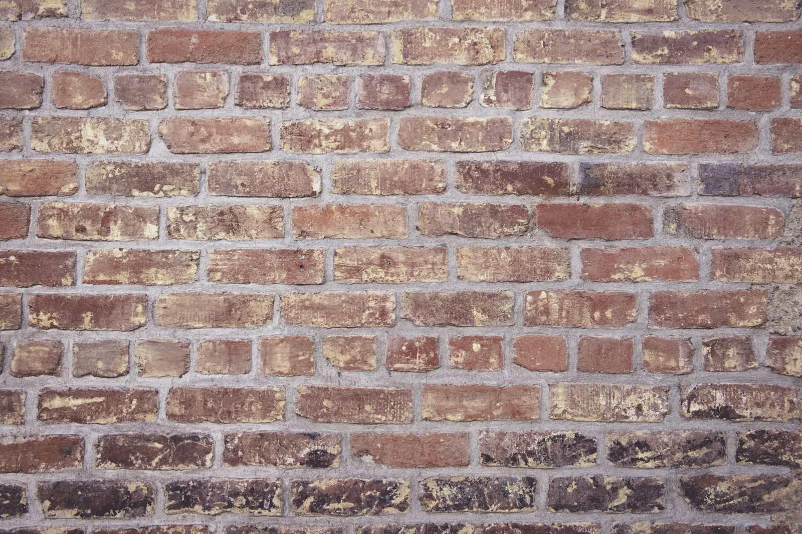 Brick wall